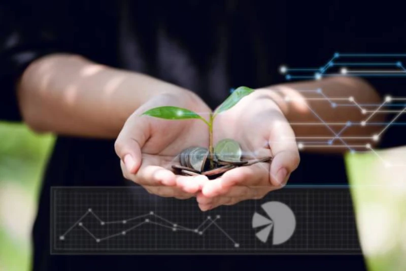 Empresa de estudo de viabilidade ambiental eva