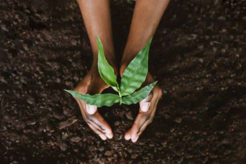 Plano de controle ambiental simplificado