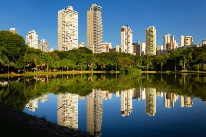 Estudo de impacto de vizinhança valor