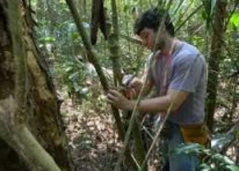 Licença ambiental de instalação preço