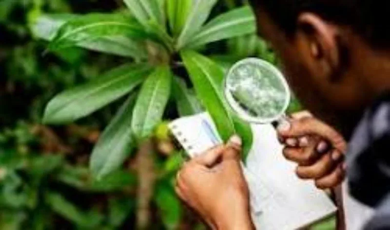 Licença ambiental de operação orçamento