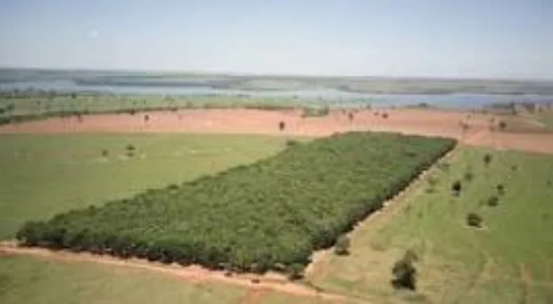 Licença ambiental simplificada orçamento