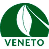 Relatório Ambiental